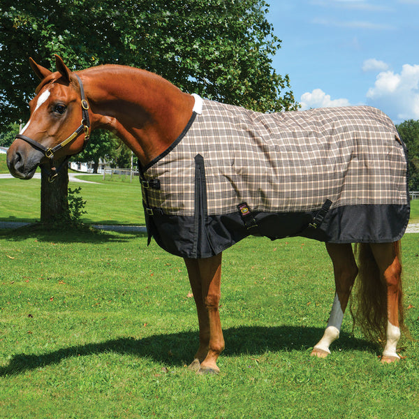5/A Baker Black Label 400 gm Turnout Blanket - Black Trim